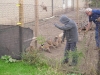 2-pheasants-2008